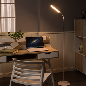 Modern Led Floor Lamp for Living Room